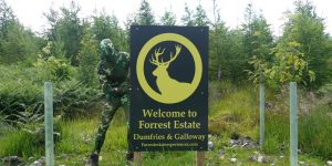 Ultimate Stag Experience