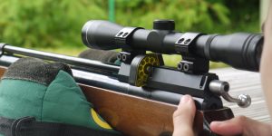 Rifle Shooting at Forrest Estate Shooting Ground